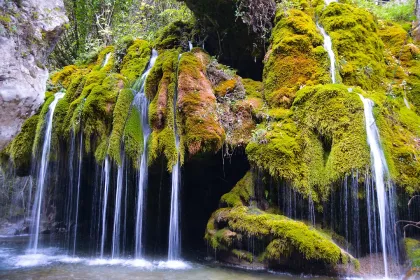 Oasi_Capelli_di_Venere_Casaletto_Spartano_Salerno_Cilento_Campania_Italy