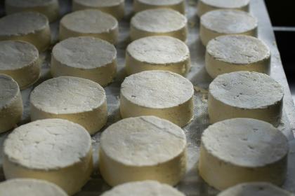 Formaggio_Cilentano_Salrno_Cilento_Campania_Italia