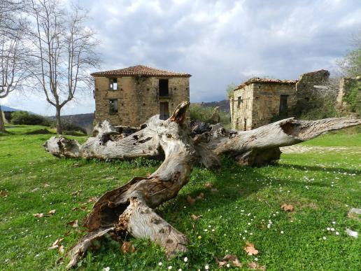 Roscigno_Vecchio (2)