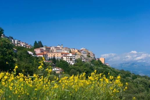 Panorama del borgo storico con case in pietra e vista sui monti.