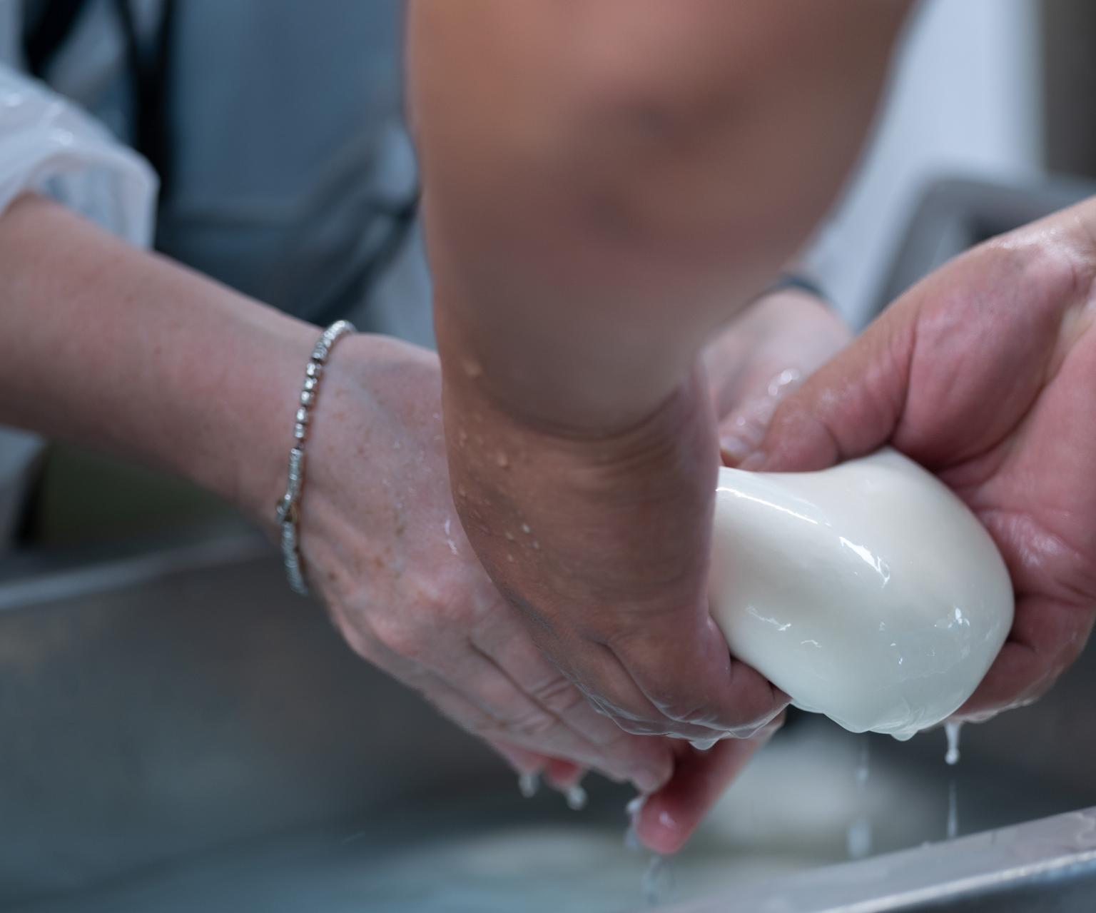 Paestum_Mozzarella_Experience