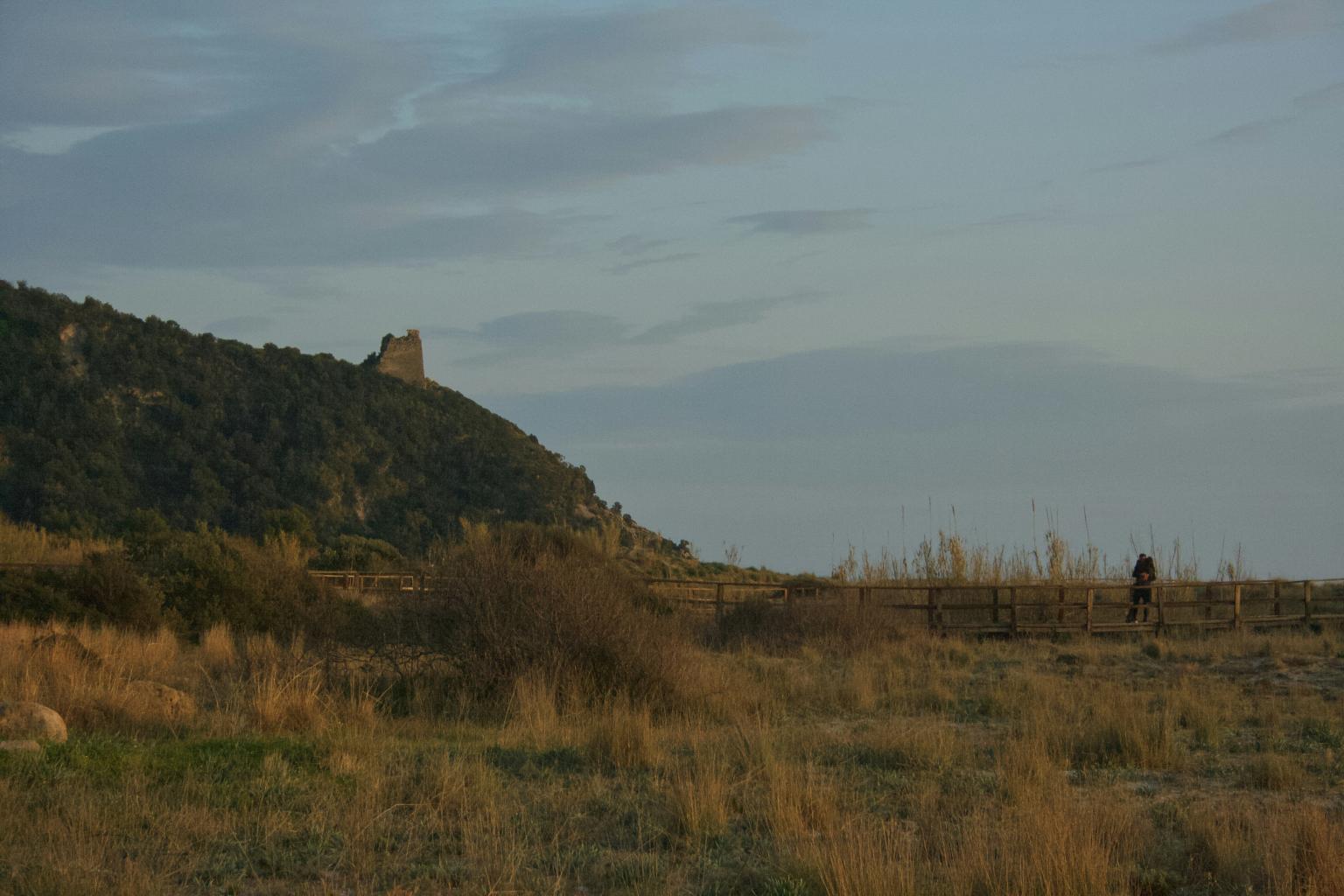 Ascea