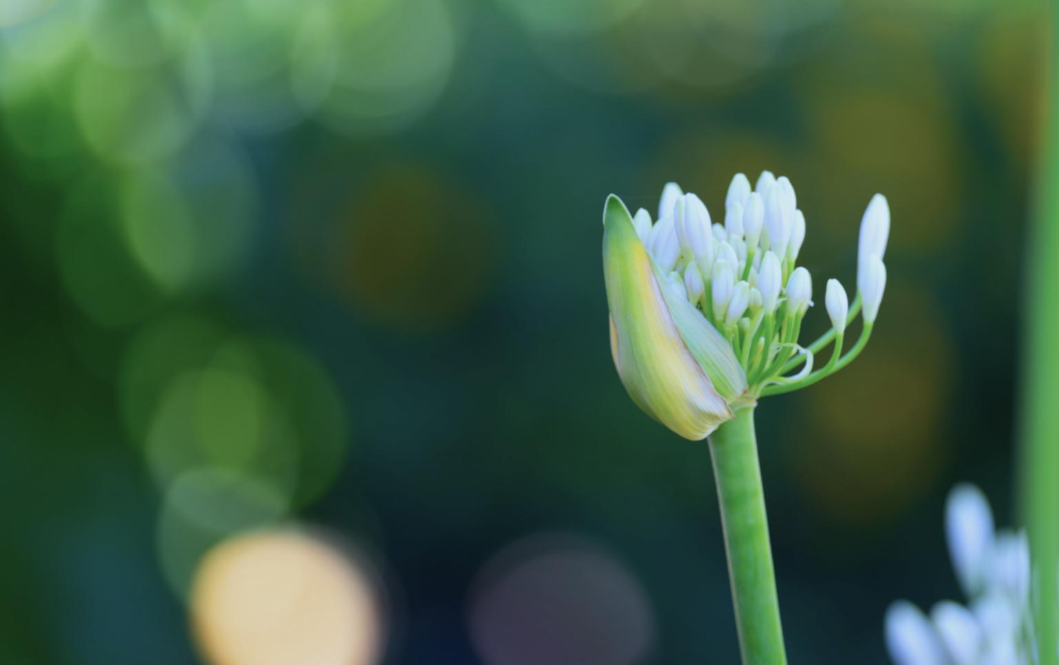 Natura_Esperienze