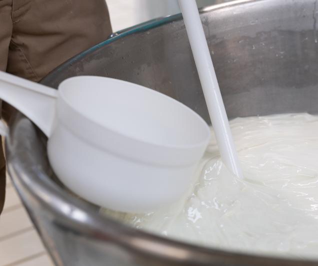 Paestum_Lavorazione_del_latte