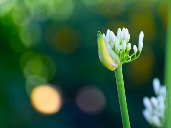 Natura_Esperienze