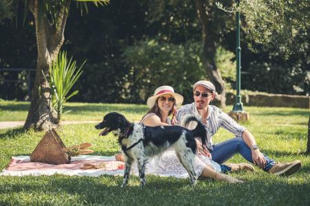 Salerno_Picnic_Tenuta_dei_Normanni (2)