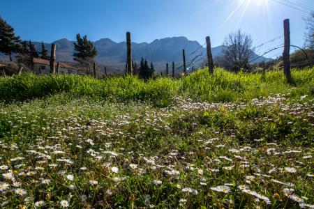 Il_Sentiero_del_Riccio (4)
