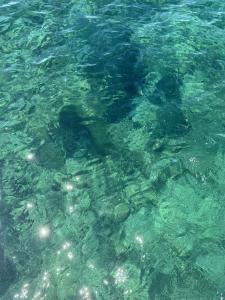 Il mare cristallino. 