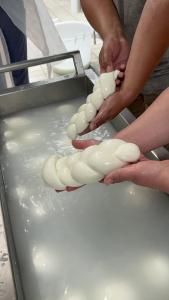 Mozzarella_Piana_del_Sele
