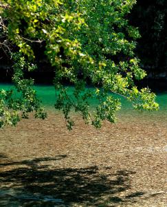 Natura_Piana_del_Sele