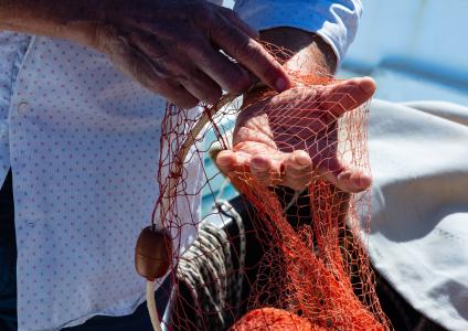 Acciaroli_pesca_menaica